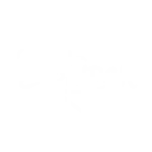 Zur 2sotypen-Website